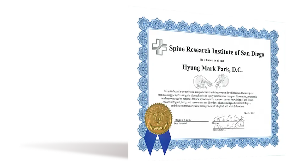 Training Program in Whiplash and Brain Injury Traumatology (Spine Research Institute of San Diego)